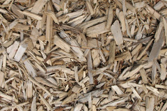biomass boilers Polgigga