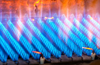 Polgigga gas fired boilers